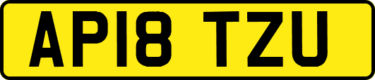 AP18TZU