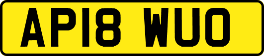 AP18WUO