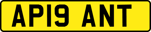 AP19ANT