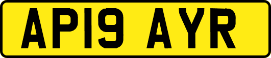 AP19AYR