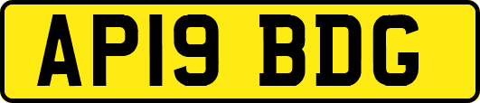 AP19BDG