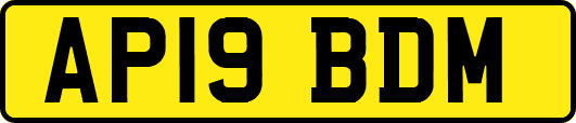 AP19BDM