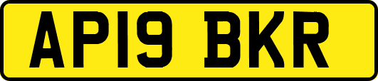 AP19BKR