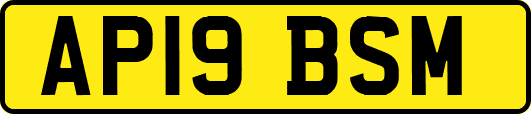 AP19BSM