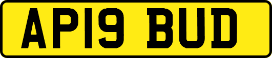 AP19BUD