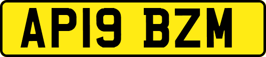 AP19BZM