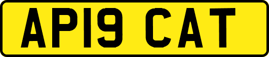 AP19CAT