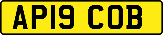 AP19COB