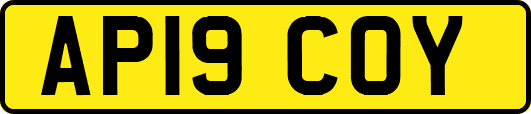 AP19COY