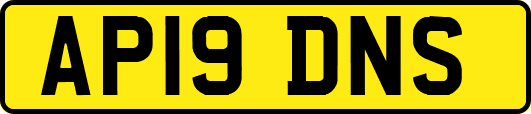 AP19DNS