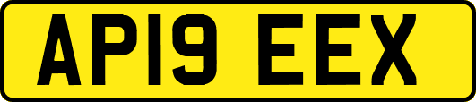 AP19EEX