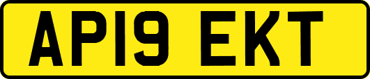 AP19EKT