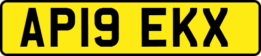 AP19EKX