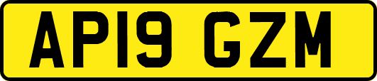 AP19GZM
