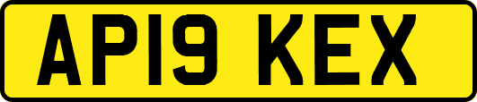 AP19KEX