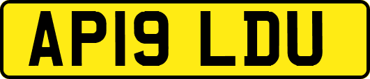 AP19LDU