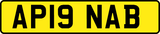 AP19NAB