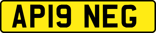 AP19NEG