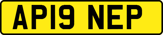 AP19NEP