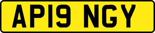 AP19NGY