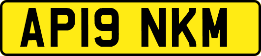 AP19NKM