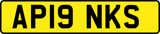 AP19NKS