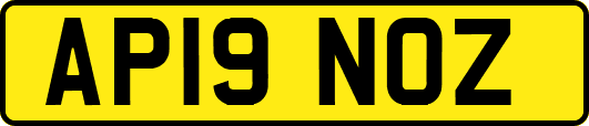 AP19NOZ