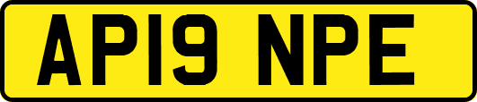 AP19NPE