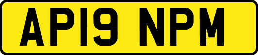 AP19NPM