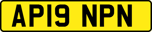 AP19NPN
