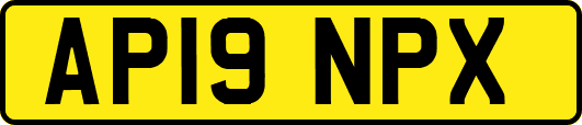 AP19NPX