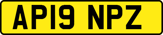 AP19NPZ