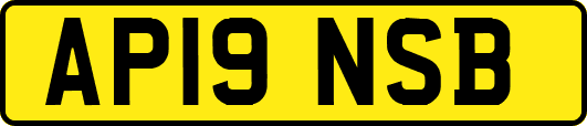 AP19NSB