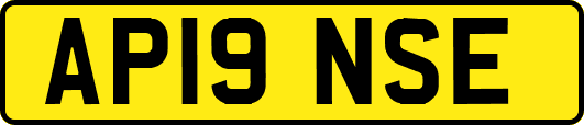 AP19NSE