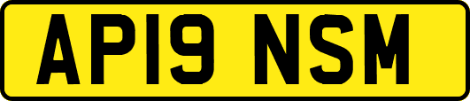 AP19NSM
