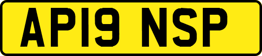 AP19NSP