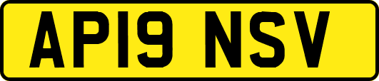AP19NSV