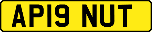AP19NUT