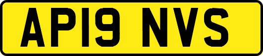 AP19NVS