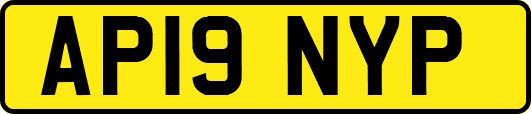 AP19NYP