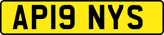 AP19NYS