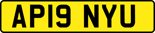 AP19NYU