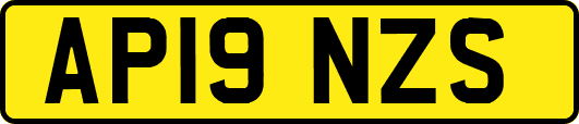 AP19NZS