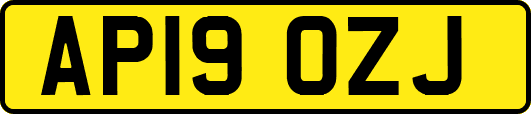 AP19OZJ