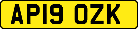 AP19OZK