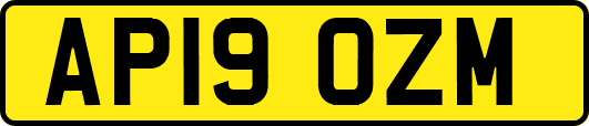 AP19OZM