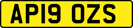 AP19OZS