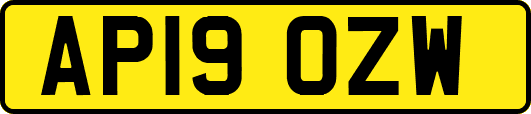 AP19OZW