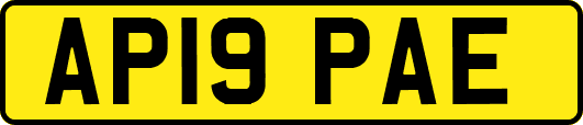 AP19PAE