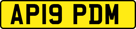 AP19PDM